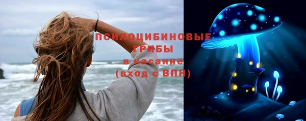 ПСИЛОЦИБИНОВЫЕ ГРИБЫ Верея