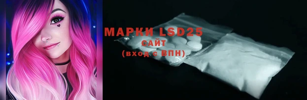 ПСИЛОЦИБИНОВЫЕ ГРИБЫ Верея